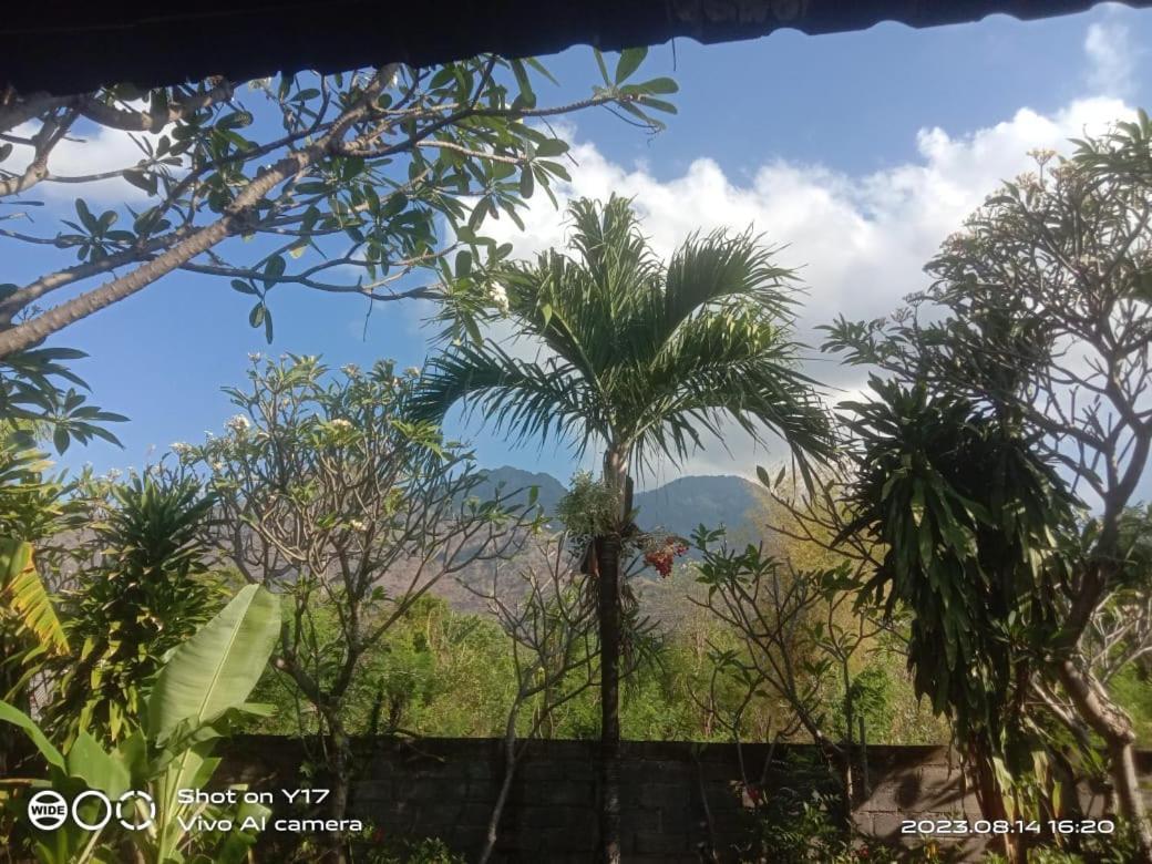 Tirta Bali Homestay 페무테란 외부 사진