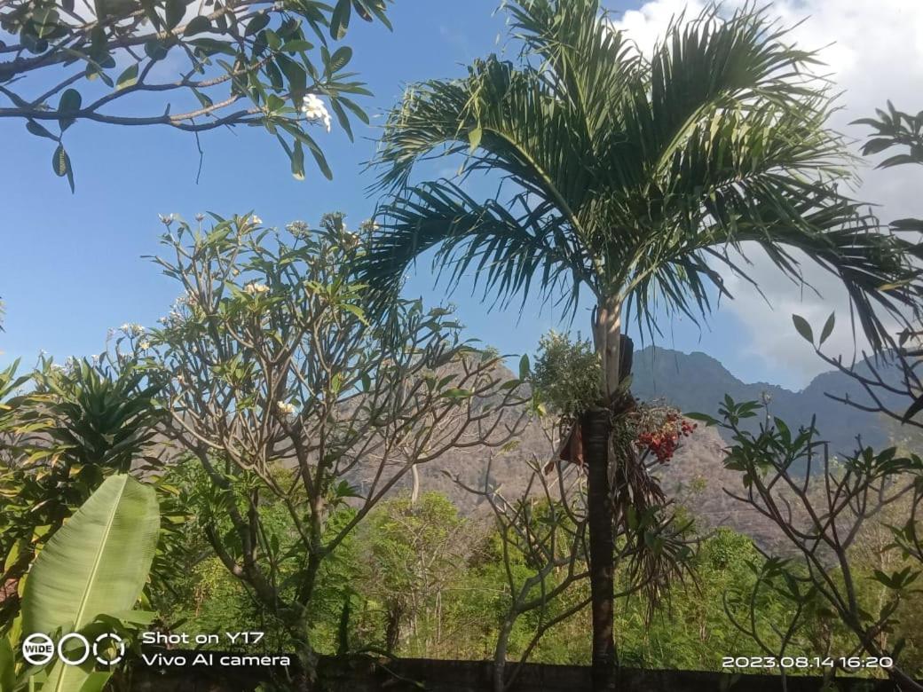Tirta Bali Homestay 페무테란 외부 사진